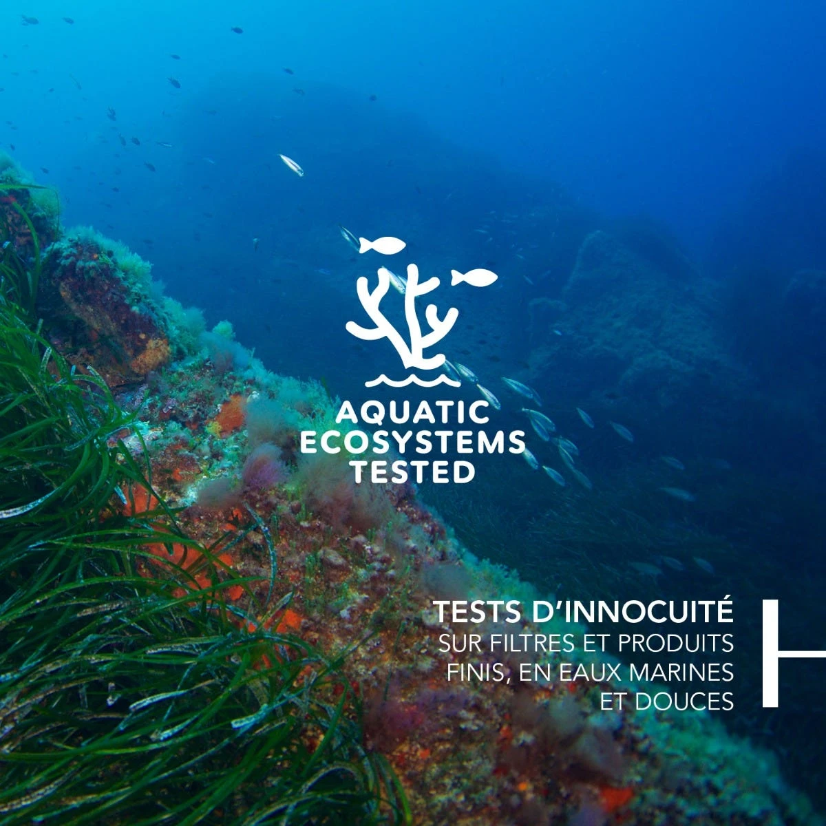 Bioderma PHOTODERM - Aquafluide Solaire Invisible SPF50+ - Visage - Peaux Sensibles, 40ml 6 Bioderma PHOTODERM - Aquafluide Solaire Invisible SPF50+ - Visage - Peaux Sensibles, 40ml – Image 4